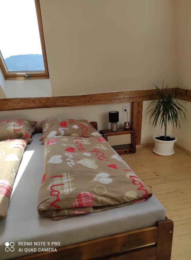 Art-House 4 Attic Apartment Decin Exteriör bild