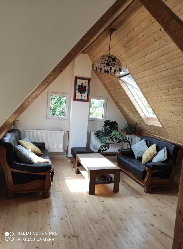 Art-House 4 Attic Apartment Decin Exteriör bild